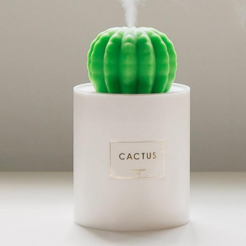 HUMIDIFICATEUR CACTUS