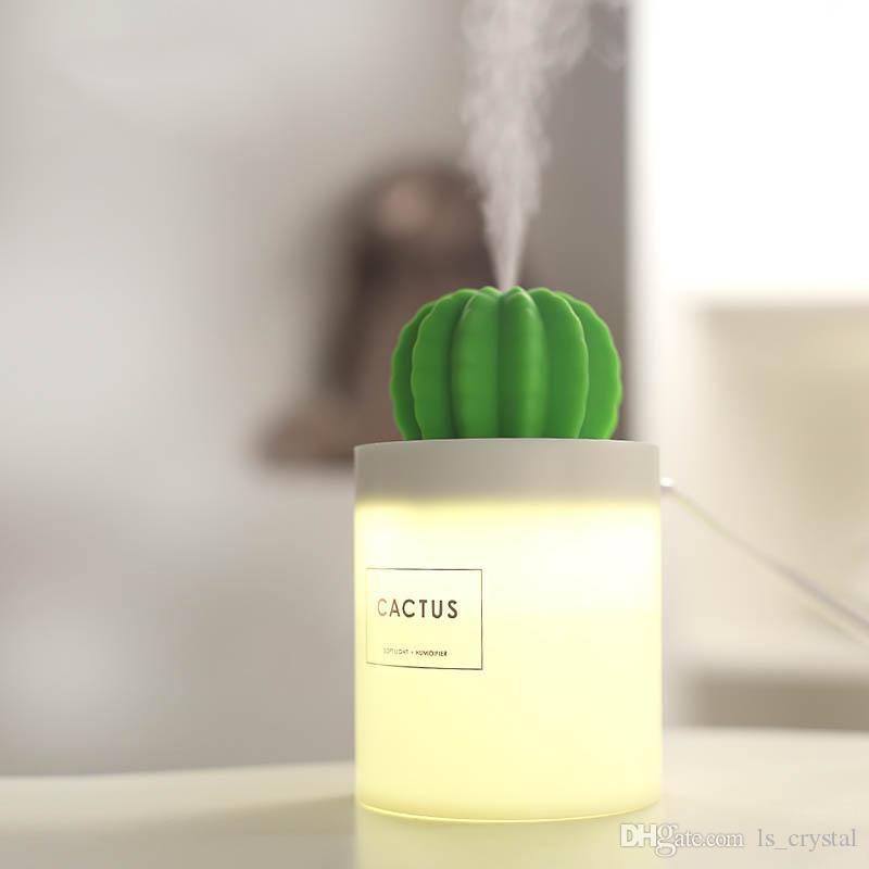 HUMIDIFICATEUR CACTUS