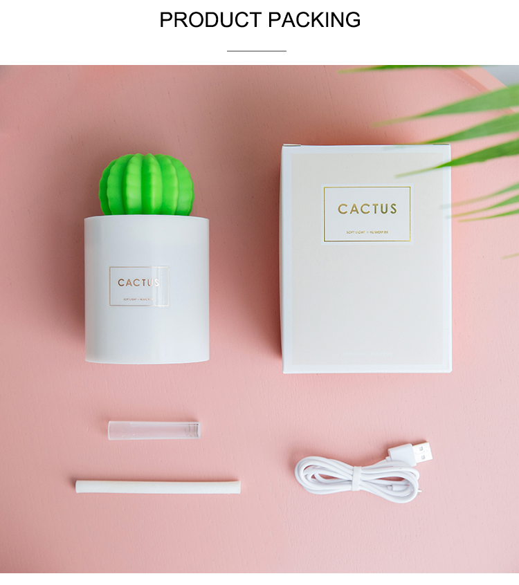 HUMIDIFICATEUR CACTUS