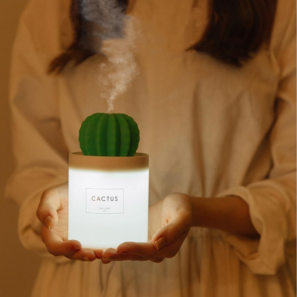 HUMIDIFICATEUR CACTUS