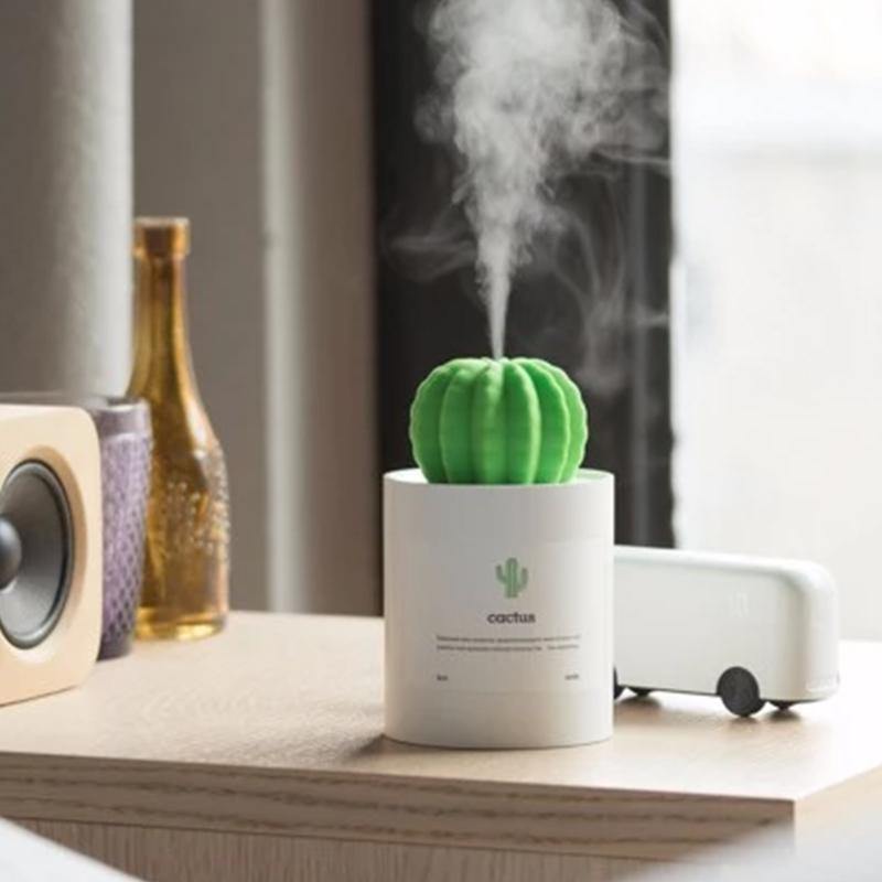 HUMIDIFICATEUR CACTUS