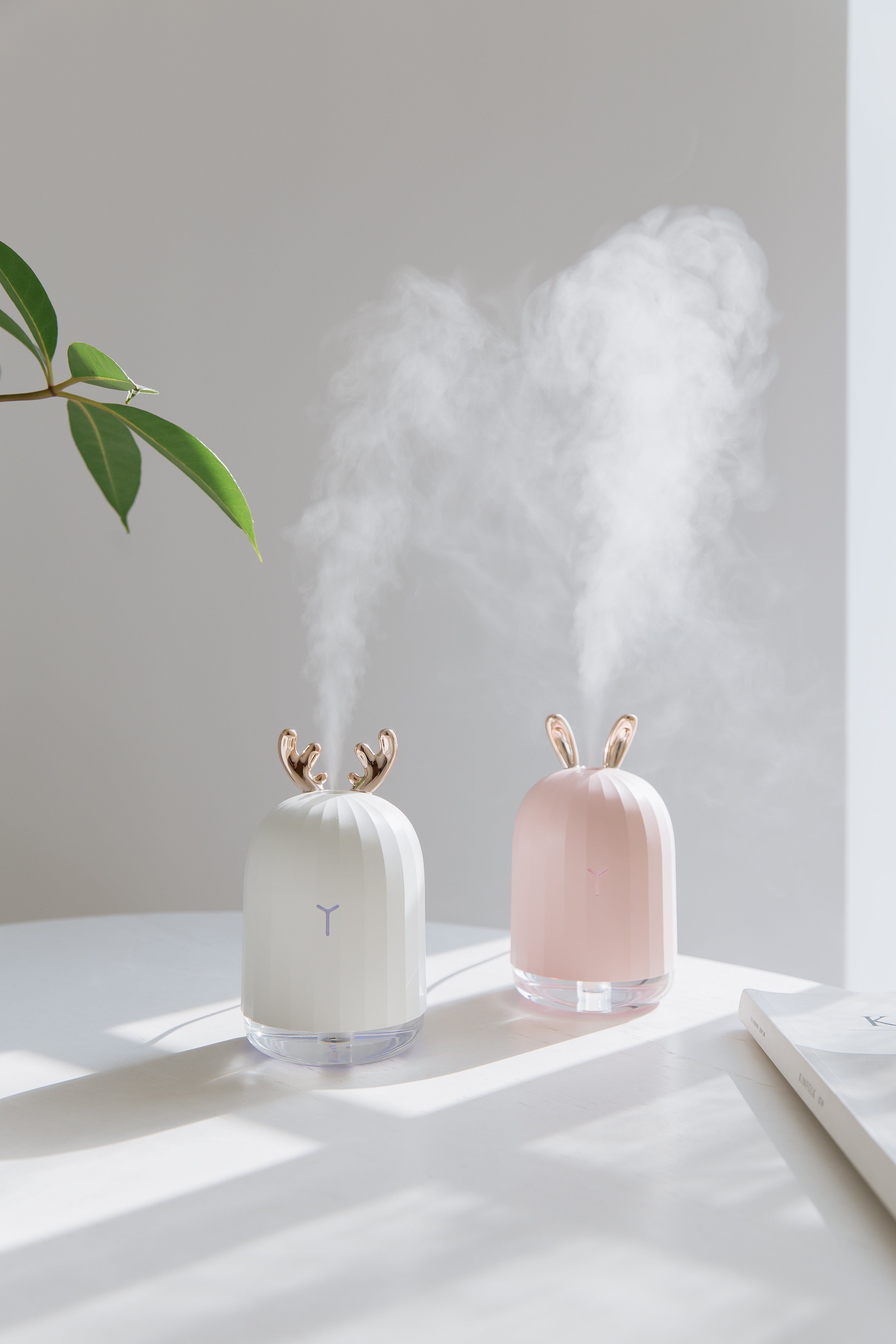 HUMIDIFICATEUR CACTUS