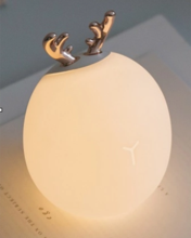 LAMPE LED CERF