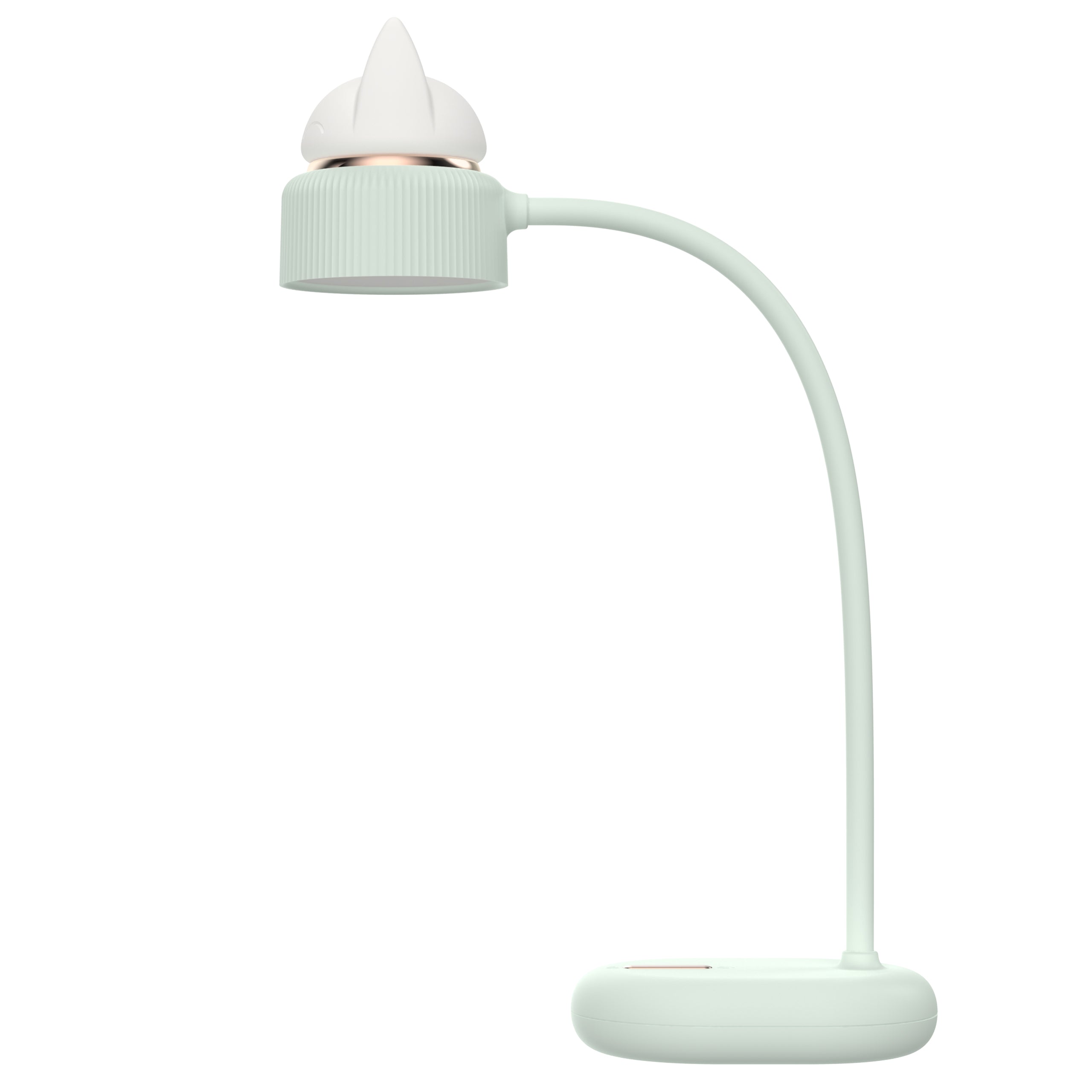 LAMPE LED DUAL