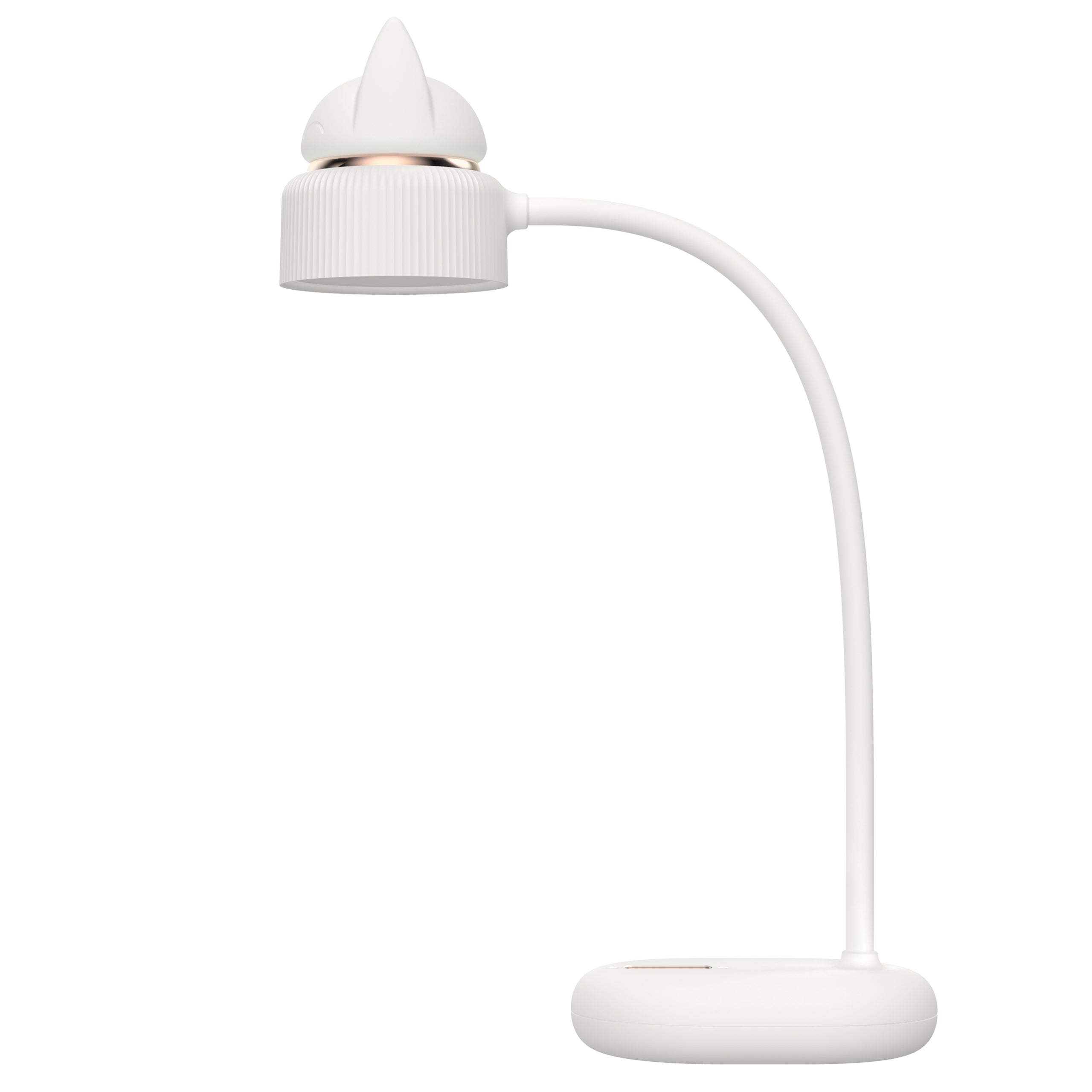 LAMPE LED DUAL