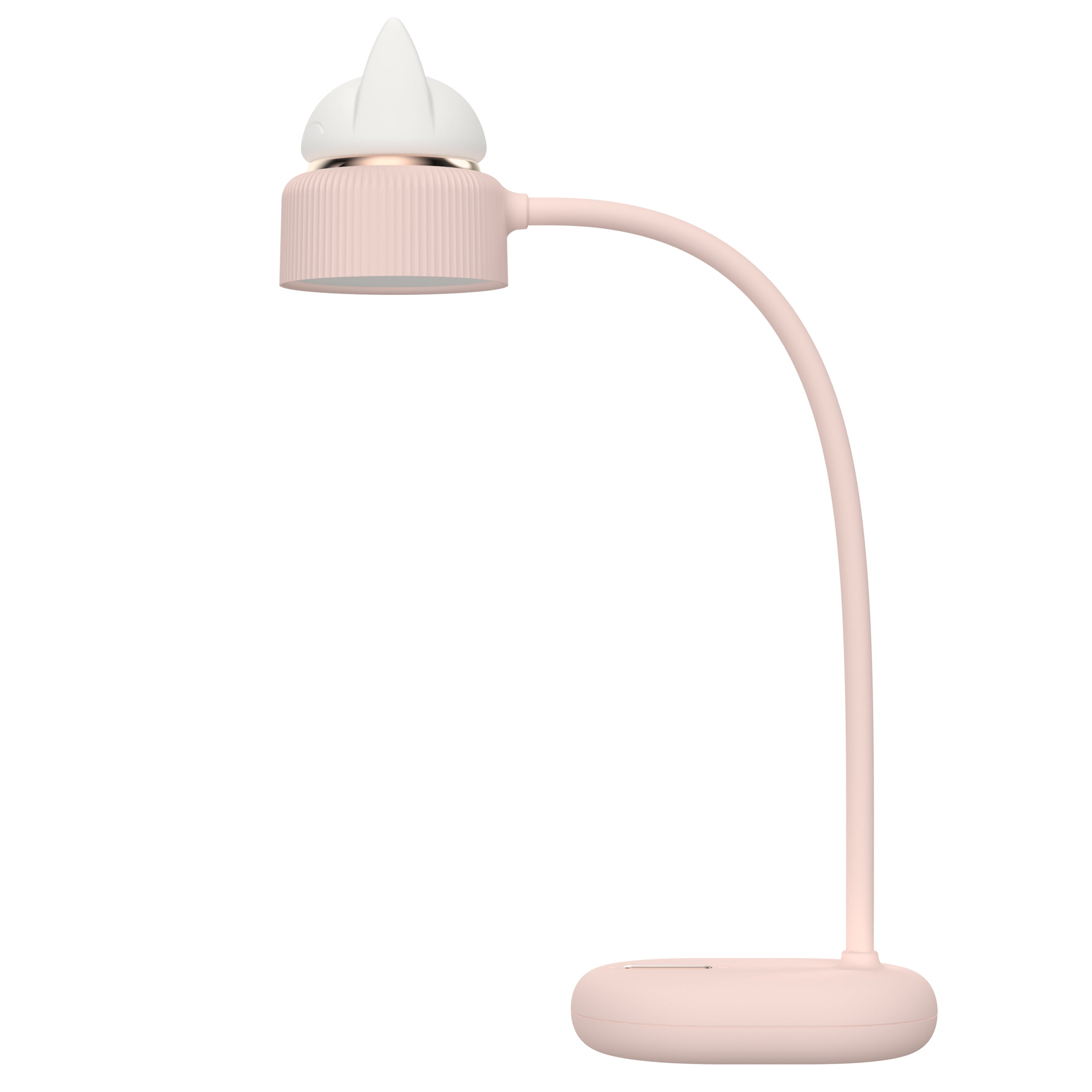LAMPE LED DUAL