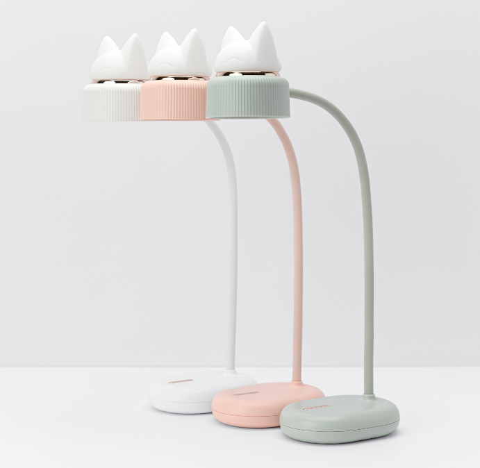 LAMPE LED DUAL